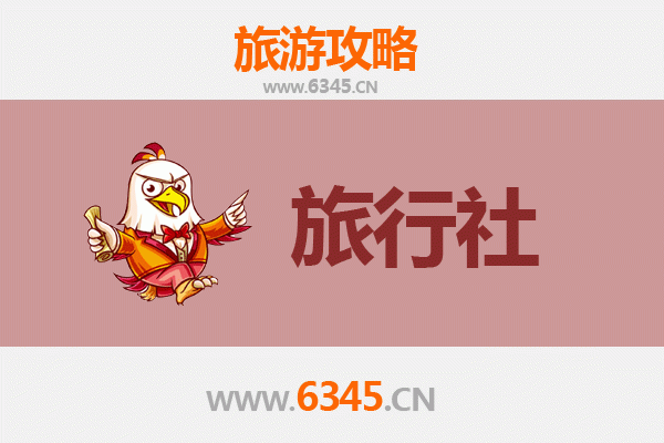 喀什伽师本地旅行社推荐：探索南疆风情的完美向导